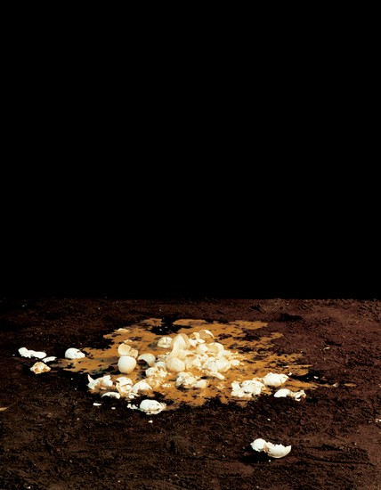 Crack, Still life [6/15]