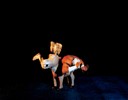 El Sagrado [4/8], Wrestlers