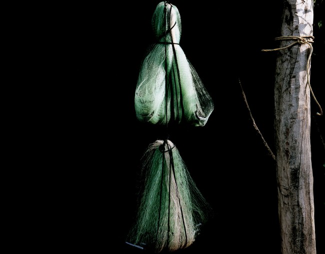 Hung, Found still life [1/12]
