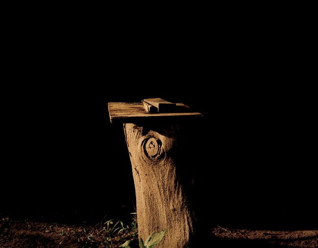 Eye, Found still life [2/12]
