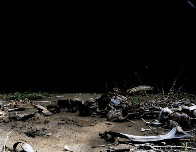 Fallen in the Morning, Found still life [4/12]