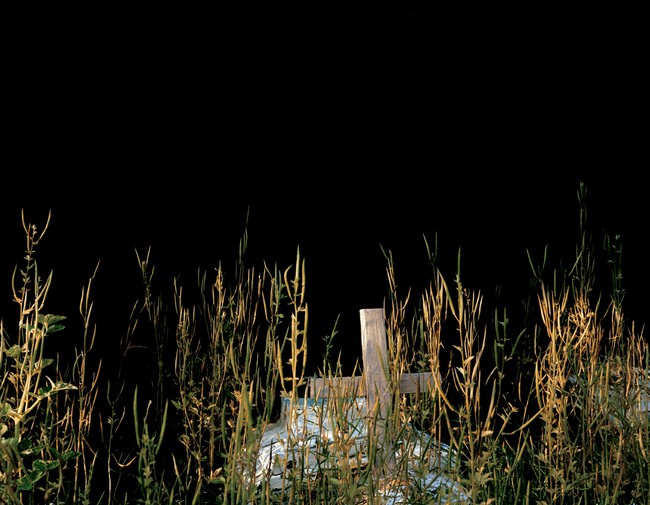 Blue/Grass, Cemetery [2/4]